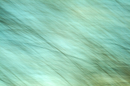 blurred motion of nature gives a harmonic background