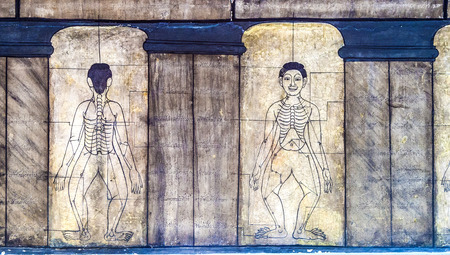 Medicine illustration mural in Wat Po, Bangkok, Thailandの写真素材