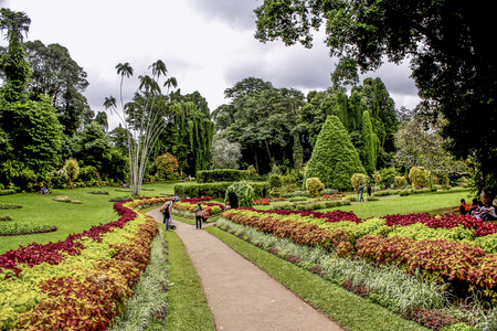 KANDY, SRI LANKA - AUG 13, 2005: people enjoy the  botanical Garden of Peradeniya, Kandy, Sri Lanka. The botanical garden is named as one of the most beautiful in asia.のeditorial素材