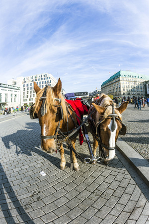 BERLIN, GERMANY - OCT 27, 2014: Horse-drawn carriage in front of Brandenburg Gate in Berlin, Germany.のeditorial素材