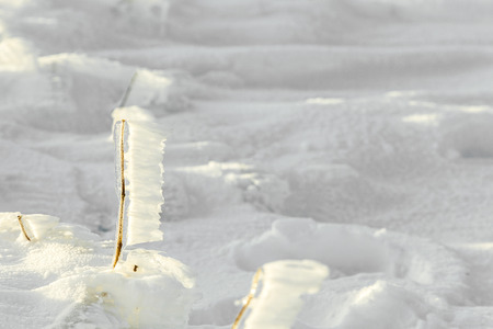 detail of snow and ice at frozen plant  at the winter mountain landscape  at Feldberg Mountain in Hesse, Germanyの写真素材