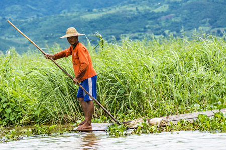Heho, Myanmar - AUG 15, 2015 : Intha lake farmer controls his field  in his typical canoe with a bamboo stick as rudder and navigation instrument.のeditorial素材