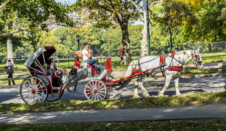 NEW YORK, USA - OCT 21, 2015: People enjoy carriage ride in Central Park  in Manhattan. Horse-Drawn Carriages are a wonderful way to experience the beauty of the Parのeditorial素材