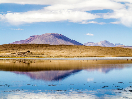 Laguna Kara salt lake with reflection of the mountain, Eduardo Avaroa Andean Fauna National Reserve, Boliviaの写真素材