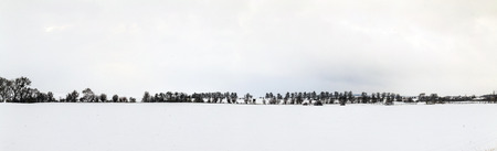 white icy trees in harmonic snow covered landscape