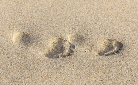 Footprints on yellow sand on the seashoreの写真素材