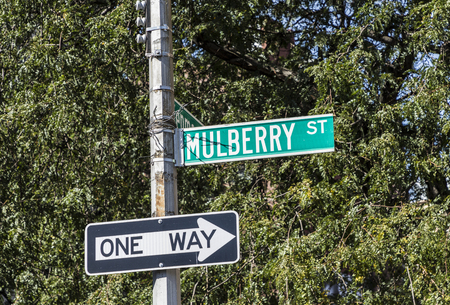 street sign Mulberry street  at a crossing in Manhattanの写真素材