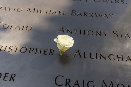 NEW YORK, USA - OCT 6, 2017: A single Rose that is left by someone's name at the 9/11 memorial in...