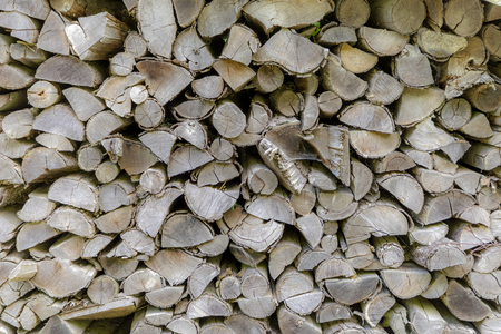 background of stapled firewood drying in the forest
