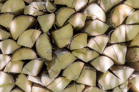 background of stapled firewood drying in the forestの写真素材