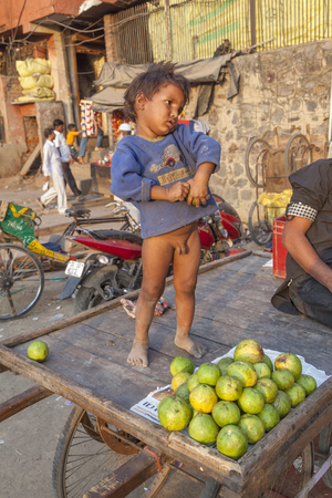 NEW DELHI, INDIA - NOV 17, 2011: young child stands on the wooden cart of his family while the father is selling fruits at the market Meena Bazaar in Delhi.のeditorial素材