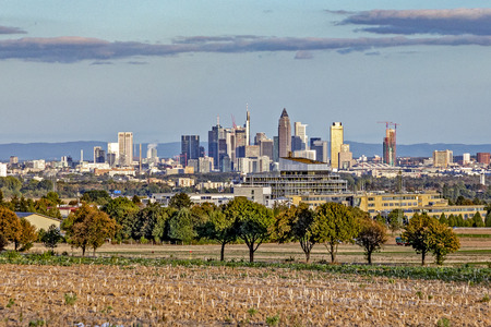 skyline of frankfurt in sunset seen from the Taunus area.  skyline of frankfurt in sunset seen from the Taunus area.の写真素材