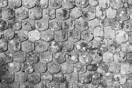 traditional red roof tiles as harmonic backgroundの写真素材