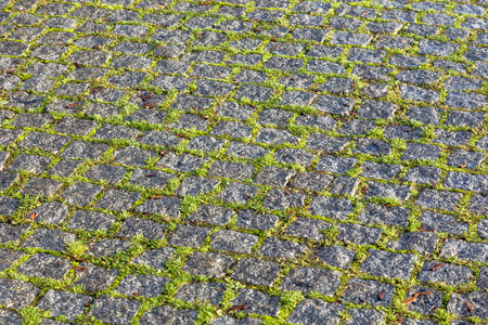 harmonic pattern of cobble stones with mossの写真素材