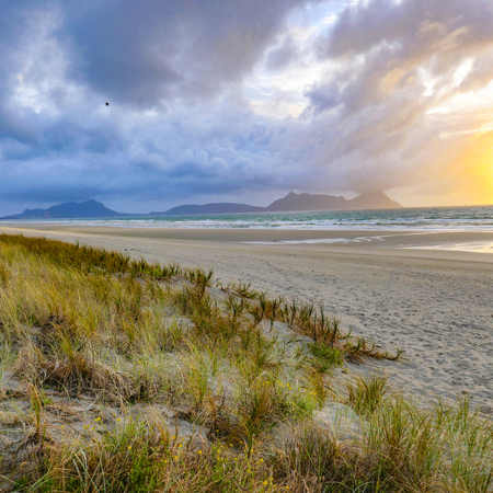 scenic beach with dunes at sunset in Northland, New Zealandの写真素材