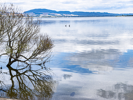 The crystal clear waters of Hamurana Springs, lake Rotorua, New Zealandの写真素材