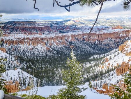 Bryce canyon in winter with snowの写真素材