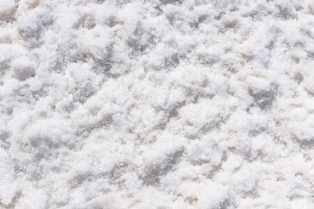 detail of salt at Isla Incahuasi at the Salar de Uyuniの写真素材