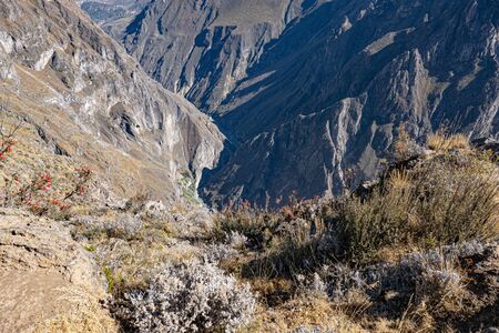 summit of Colca Canyon in Peru with spectacular view