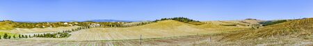 typical scenic tuscan landscape with olive tree alleys and farm house in Italy