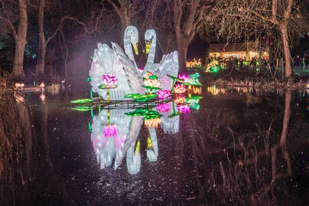 Cologne, Germany - January 19, 2020: CHINA LIGHT-FESTIVAL from DECEMBER, 7th 2019 TO JANUARY, 19th 2020 at Cologne Zoo.のeditorial素材