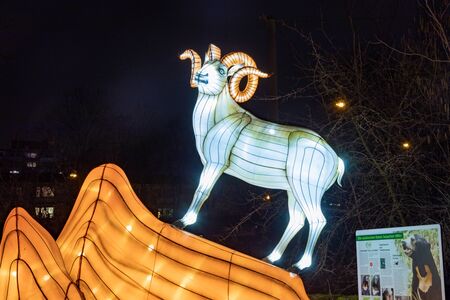 Cologne, Germany - January 19, 2020: CHINA LIGHT-FESTIVAL from DECEMBER, 7th 2019 TO JANUARY, 19th 2020 at Cologne Zoo.のeditorial素材