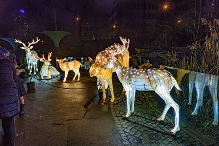 Cologne, Germany - January 19, 2020: CHINA LIGHT-FESTIVAL from DECEMBER, 7th 2019 TO JANUARY, 19th 2020 at Cologne Zoo.のeditorial素材