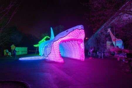 Cologne, Germany - January 19, 2020: CHINA LIGHT-FESTIVAL from DECEMBER, 7th 2019 TO JANUARY, 19th 2020 at Cologne Zoo.のeditorial素材