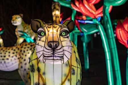 Cologne, Germany - January 19, 2020: CHINA LIGHT-FESTIVAL from DECEMBER, 7th 2019 TO JANUARY, 19th 2020 at Cologne Zoo.のeditorial素材