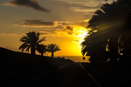scenic sunset in Yaiza with road and palm trees in Lanzarote, Spainの写真素材
