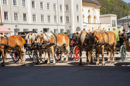 Salzburg, Austria - April 21, 2015: horse coaches are ready for tourist rides in the old town of...