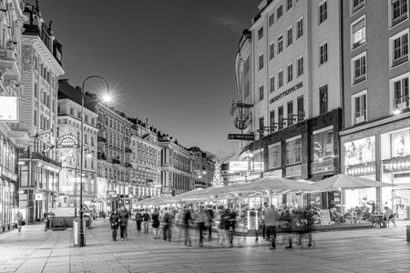 Vienna, Austria - April 26, 2015: People visit Graben in Vienna by night. Graben street is among the most recognized streets in Vienna which is the capital city of Austria.のeditorial素材