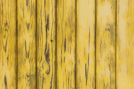 pastel wood wooden yellow with plank texture as wall background giving a feeling of looking old and beautifulの写真素材