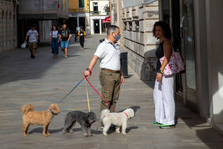Venice, Italy - July 3, 2021: dog sitter with 3 poodles walks with the dogs in early morning throug the narrow streets of Venice.のeditorial素材