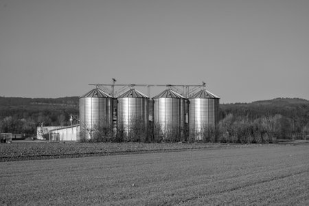silver shining silos at the field in autumn timeの写真素材