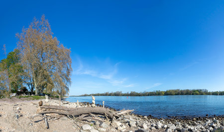 Beach of river Rhine with flotsam in Eltville, Germany