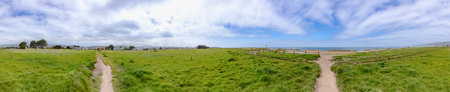 scenic green landscape at half moon bay with wooden houses at horizon, California, USA