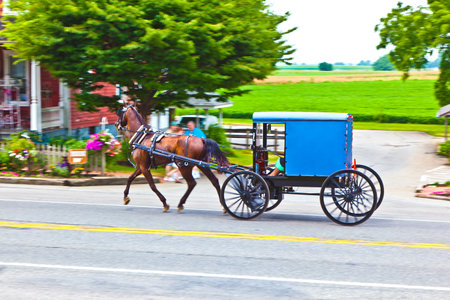 Lancaster, USA - July 13, 2010: A horse pulling a cart across the streetのeditorial素材