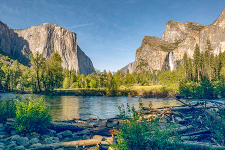 merced river with famous rock el Captain in Yosemite valley on a summer dayの素材 [FY310195040470]