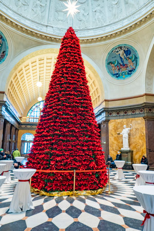 Wiesbaden, Germany - December 18, 2022: beautiful christmas tree in the historic casino of Wiesbaden made of natural christmas stars - poinsettia.のeditorial素材