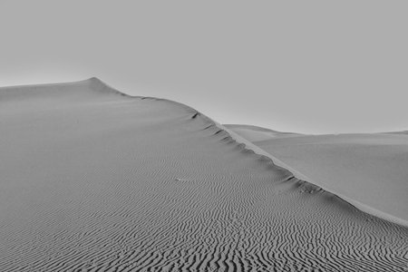 beautiful sand dunes in sunrise in the desert