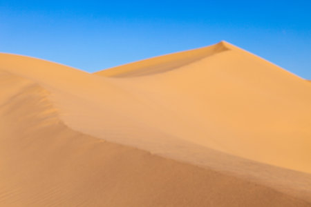 beautiful sand dunes in sunrise in the desertの写真素材