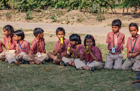 New Delhi, India - November 17, 2011: children at india gate in school uniform have an excursion organized by the school to visit india gate.のeditorial素材