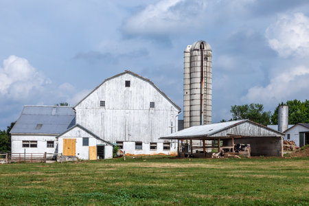 farm house with field and silo in beautiful landscape