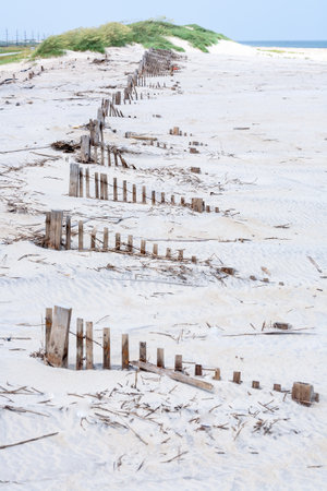 fence for protection of the dunes at the beautiful natural beach damaged by windの写真素材