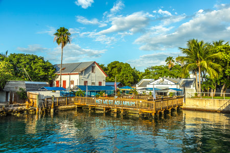 KEY WEST, USA - AUG 26, 2014: people enjoy the sunset point at Mallory square in Key West at the aquarium, USA. This place is the most popular sunset point in Key West.のeditorial素材