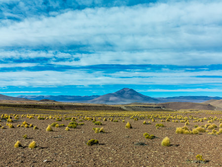sign Lama crossing in the Atacama desert, Boliviaの写真素材