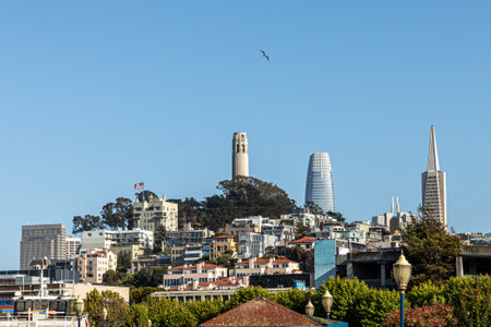 Skyline of San Francisco with skyscraper and pyramid in early morning light seen from pier 36, USAの写真素材