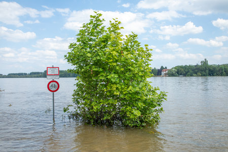 Kiedrich, Germany - June 7, 2024: flooded rhine promenade at Kiedrich with signage using at own risk and bicycle forbidden sign.のeditorial素材