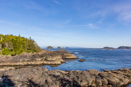 View of rough coast with strong surf and rocks with green vegetation in front viewed from Wild Pacific Trail in Ucluelet on Vancouver Island, Canadaの写真素材